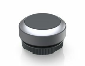 RAFIX 22 FS, Drucktaster, Blende flach, Bund rund, tastend, Frontring lichtgrau, Blende schiefergrau