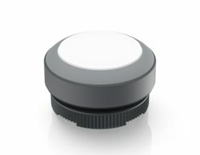 RAFIX 22 FS, Leuchtdrucktaster, Blende flach, Bund rund, rastend, Frontring lichtgrau, Blende weiß